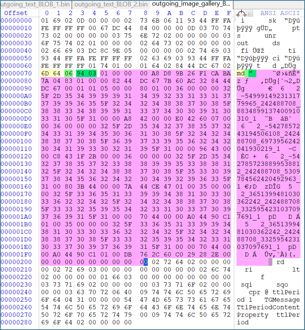Screenshot of BLOB data